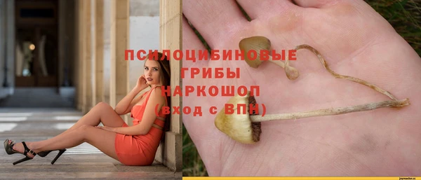 прущие крисы Алексеевка
