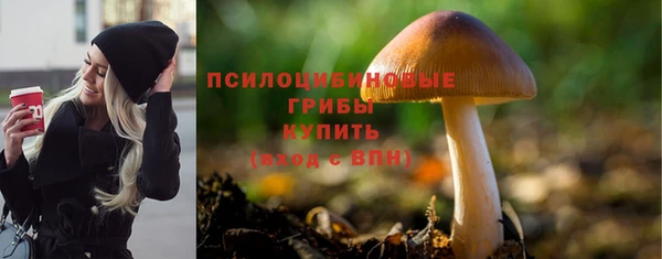 дживик Алексин