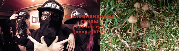 прущие крисы Алексеевка