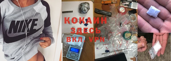 дживик Алексин